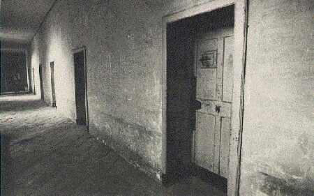 A corridor in the asylum